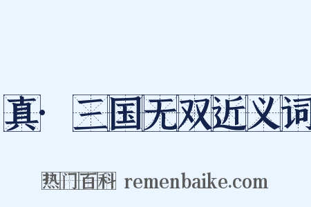 真·三国无双近义词是什么意思的图片
